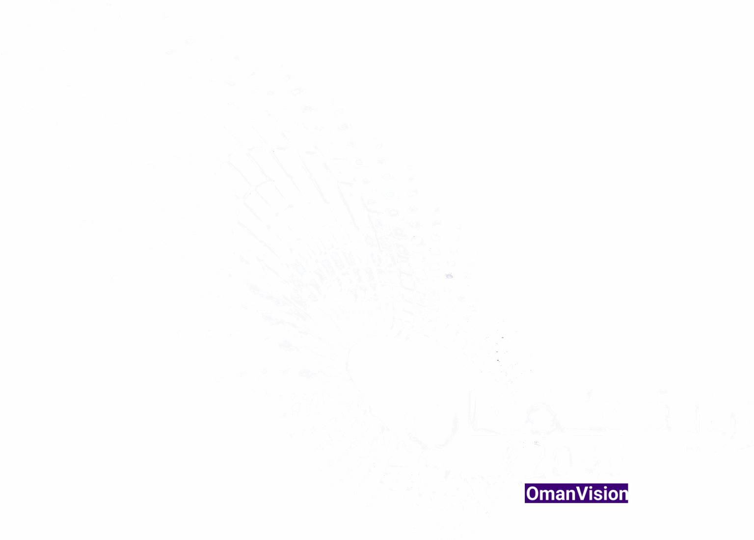 One Page Website Oman Vision 2040